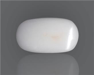 Natural White Coral  11.22 CTS (50444)